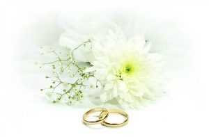 Wedding Ring Display